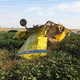 Illustration for article titled Gender-Reveal Plane Crash Is Perfect Metaphor for Gender-Reveal Parties